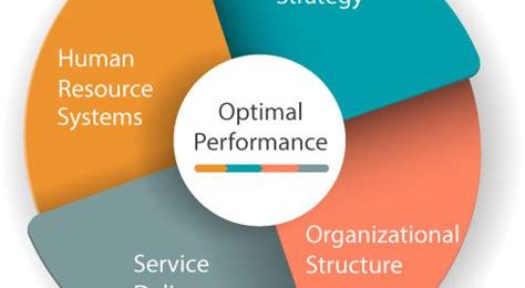 Organizational Effectiveness Services